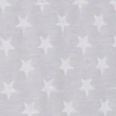 Burnout Long Sleeve Tee in Collegiate Gray Star