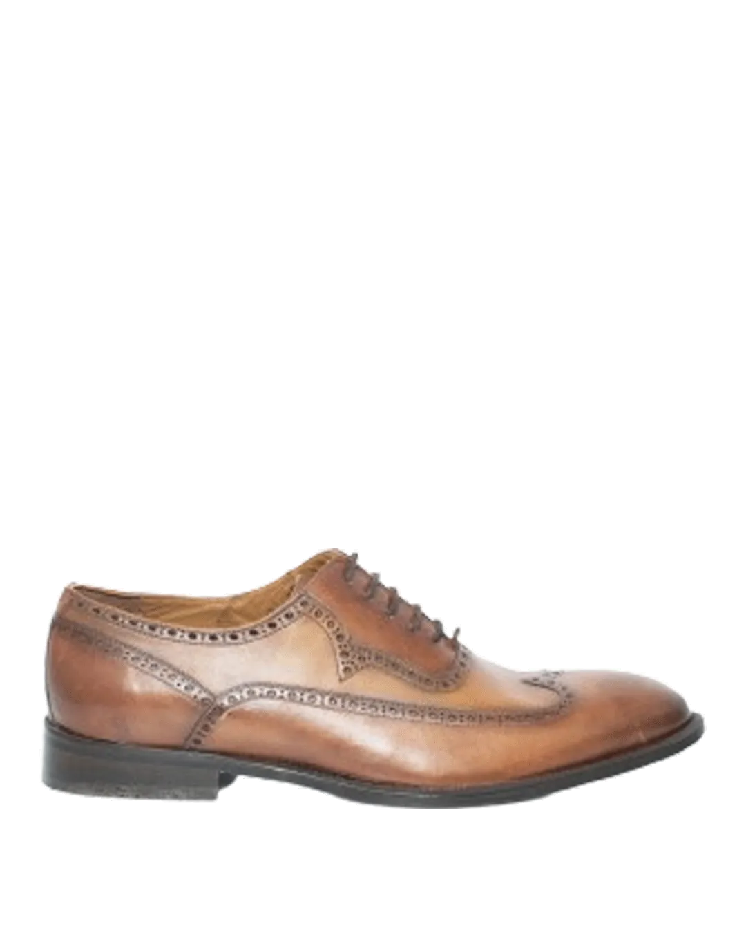 Calvano Brown Tan