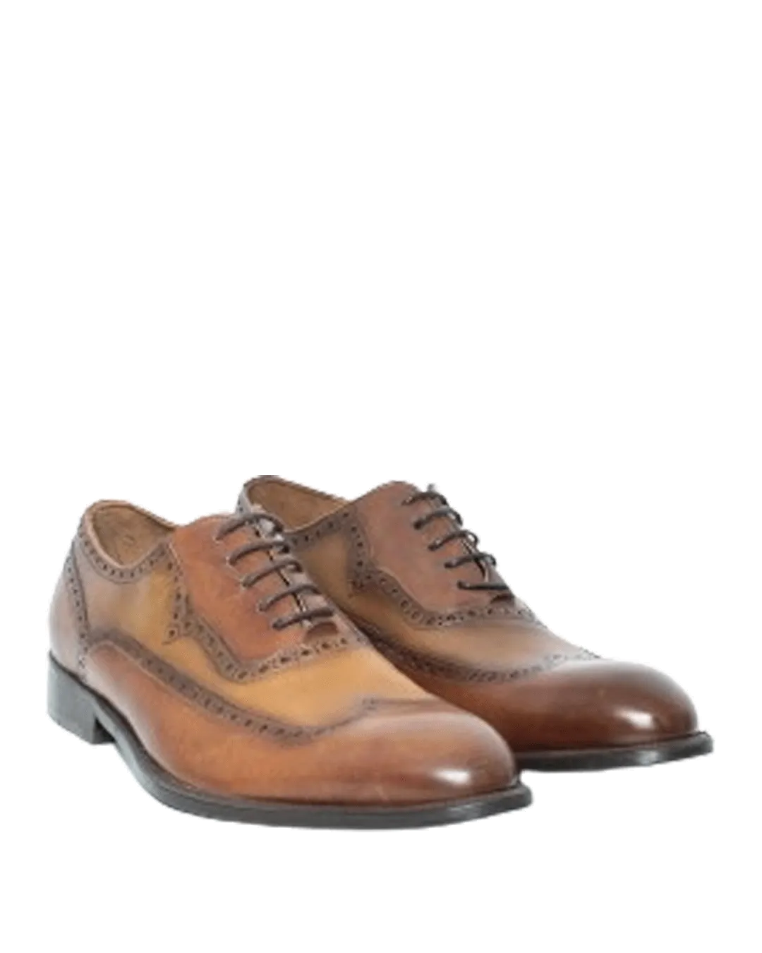 Calvano Brown Tan