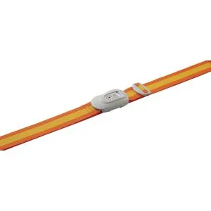 Lock Stop Luggage Strap